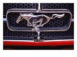 Klicke auf die Grafik fr eine grere Ansicht

Name:	249842~Mustang-Logo-Poster.jpg
Hits:	190
Gre:	21,9 KB
ID:	825